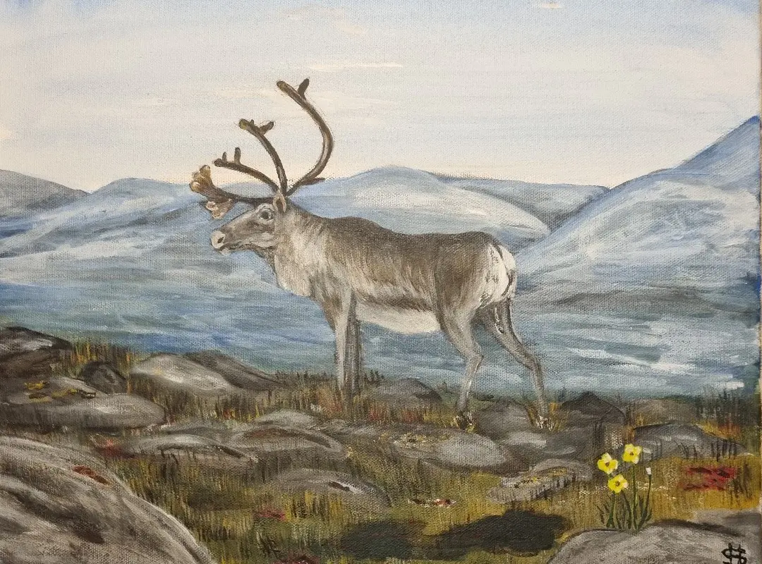 Ren i Fjällandskap - Acryl - Landscape - 41×33 cm door Håkan Siggemo (verkocht)