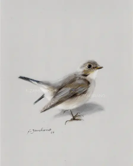 Gærdesmutte (Eurasian Wren), Nordic Bird in Soft Pastel - Pastel door Flor Zambrano